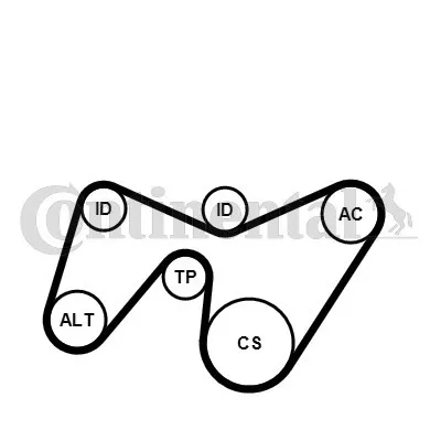 Produktbild von Continental ContiTech 6PK1642K2 Keilrippenriemensatz für FORD MONDEO III Kombi (BWY) MONDEO III (B5Y) MONDEO III Stufenheck (B4Y)