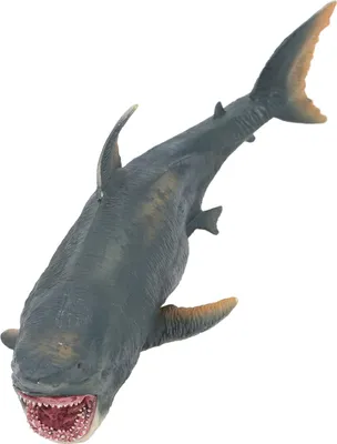 Image de Modèle de simulation de requin réaliste vivant poisson éducatif jouet animal marin pour les enfants enfants