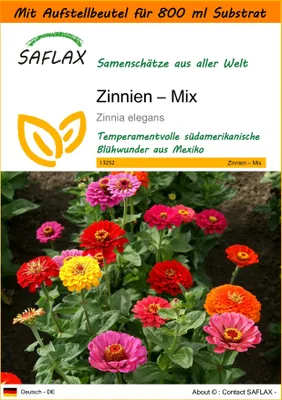 Produktbild von SAFLAX Garden in the bag - Zinnien – Mix - Zinnia elegans - 50 Samen - Mit Anzuchtsubstrat im praktischen, selbst aufstellenden Beutel