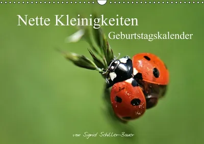 Produktbild von Calvendo Geburtstagskalender "Nette Kleinigkeiten" - Wandkalender - A3