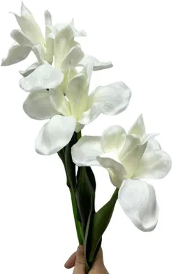 Immagine prodotto di Fiore di iris artificiale in seta, 18 pollici, 4 pezzi, per decorazioni da tavola