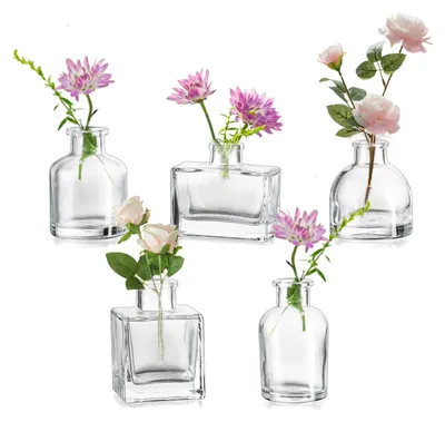 Immagine prodotto di Omgoods - Mini vasi in vetro per fiori - Set di 5 vasi assortiti
