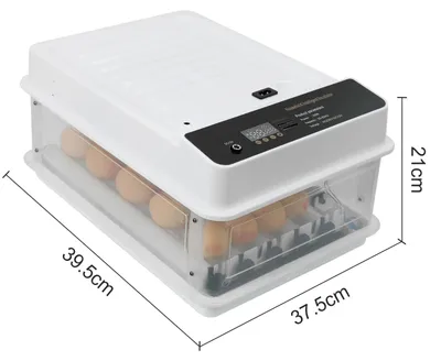 Produktbild von Mini-Brutmaschine - 36 Eier - Automatische Eierwendevorrichtung - Feuchtigkeitskontrolle - Temperaturregelung - Integrierte Eierlampe - Weiß