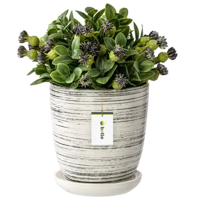 Produktbild von Blumentopf Blumenübertopf weiß gewischt Blumenschale mit Untersetzer Rund Glanz Keramik Glamour H=16,5cm