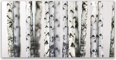 Produktbild von Glasbilder 120x60 Wandbild Druck auf Glas Bäume Natur