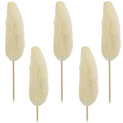 Immagine prodotto di Luffa su bastoncino fiori secchi decorazione naturale artigianato sbiancato set di 5 circa 10-15 cm