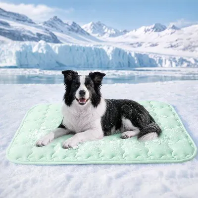 Produktbild von Omgoods - Kühlermatte für Hunde und Katzen M