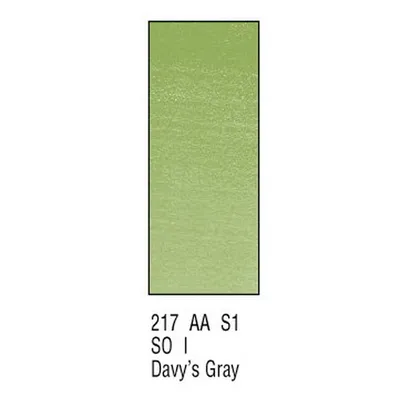 Immagine prodotto di Winsor Newton AWC H/PAN DAVYS GREY 217 Colore ad acquerello