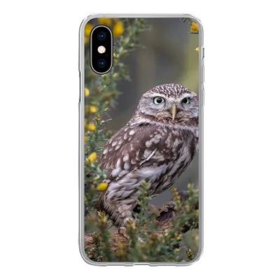 Produktbild von MuchoWow® Handyhülle Schutzhülle Hülle für iPhone X Eine kleine braune Eule sitzt da und starrt nach vorne Silikon Softcase Handy Hülle - Handyhülle