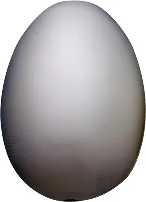 Image de KNORR prandell 216924000 Œuf 60 x 45 mm blanc