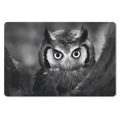 Produktbild von MuchoWow® Schreibtischunterlage Vogel - Eule - Porträt - Schwarz - Weiß 60x40 cm - XXL Mauspad - Großes Mauspad