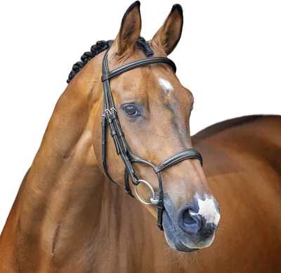 Produktbild von Velociti - Cavesson-Zaum "Lusso Hunter", Leder ER1803 (Pony) (Schwarz)