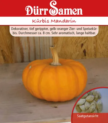 Produktbild von Kürbis Mandarin | Kürbissamen von Dürr Samen