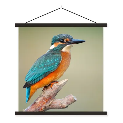 Produktbild von MuchoWow® Textilposter Vogel - Eisvogel - Zweig 120x120 cm mit schwarzem Rahmen - Aufhängungsset