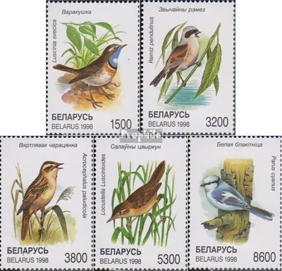 Produktbild von Briefmarken Weißrussland 1998 Mi 262-266 (kompl.Ausg.) postfrisch Singvögel