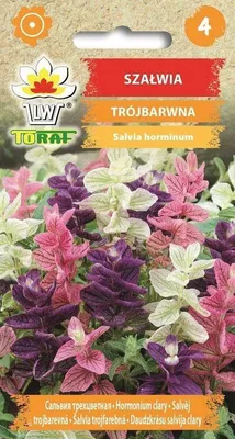 Zdjęcie produktu dla Szałwia trójbarwna Nasiona kwiatów - 657 Toraf