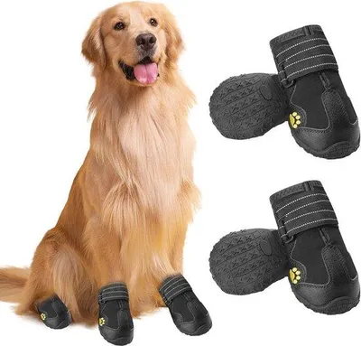 Produktbild von Famanu Hundeschuhe Wasserfest für mittelgroße und große Hunde - Antislip und Atmungsaktiv, 4 Stück