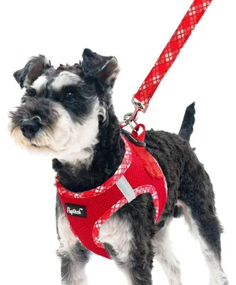 Produktbild von Hundegeschirr und Leinen-Set für kleine bis mittlere Hunde, weichmaschen, reflektierend, rot, Größe S
