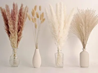 Productafbeelding van Famanu decoratieset met gedroogd pampasgras, bestaande uit 100 stuks - wit en naturel