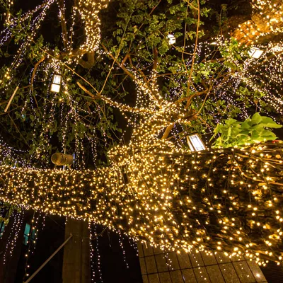 Zdjęcie produktu dla Łańcuch świetlny LED, siatka świetlna, 2x2 m, 200 diod LED, ciepła biel, IP44, 8 trybów. Idealny do dekoracji zewnętrznych i wewnętrznych, np. na Boże Narodzenie