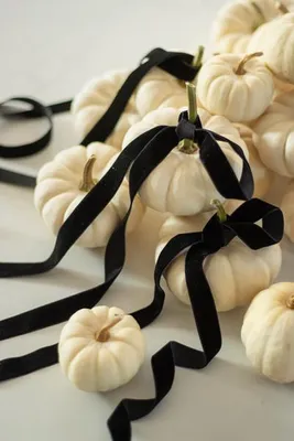 A collection of small white pumpkins decorated with black velvet ribbon, arranged on a light-colored surface.