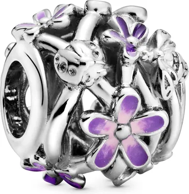 A close-up studio shot of a Pandora charm.