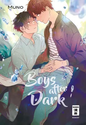 Produktbild von Boys after Dark