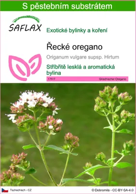 Obrázek produktu pro SAFLAX - Řecké oregano - Origanum vulgare supsp. Hirtum - 600 Semena - S pěstebním substrátem bez klíčků