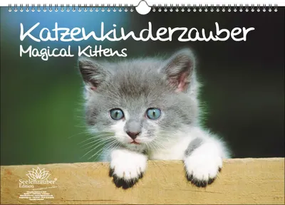Produktbild von Katzenkinderzauber DIN A3 Immerwährender Kalender Katzenkinder Katzenbabys - Seelenzauber