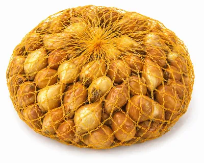 Immagine prodotto di Cipollotti da semina, 16–21 mm, 0,5 kg di bulbi da piantare in giardino