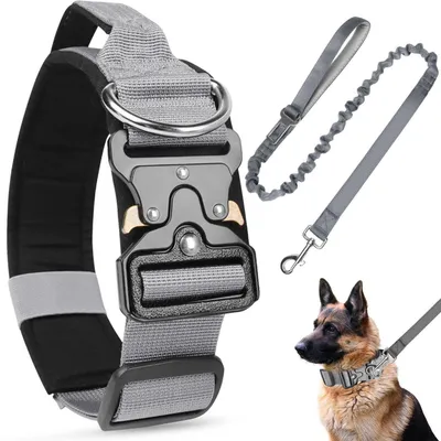 Produktbild von Taktisches Hundehalsband mit Griff, Gepolstert, Verstellbar, Nylon, Metallschnalle, M