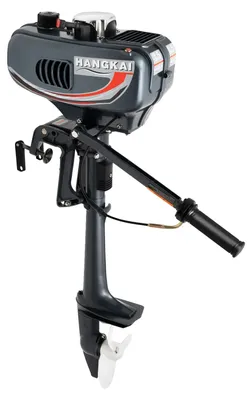 Immagine prodotto di Motore fuoribordo, 3,5 CV, leggero ed efficiente nei consumi, GRIGIO
