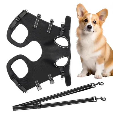 Imagen del producto de Ayuda para perros mayores: arnés y soporte para las patas
