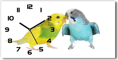 Immagine prodotto di Orologio da parete in vetro – 60x30 cm - Quadro in vetro - Orologio in vetro - Vetro temperato - Lancette nere - Inciamici