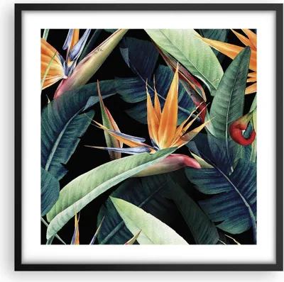 Produktbild von Gerahmtes Poster - Schwarzer Rahmen - Pflanze Tropisch Blume - 50x50 cm - Wand Bild - Wanddeko - Wandbilder - Kunstposter - Wandposter - Bilderrahmen - Bilder - Kunstdruck - P2BAC50x50-5093