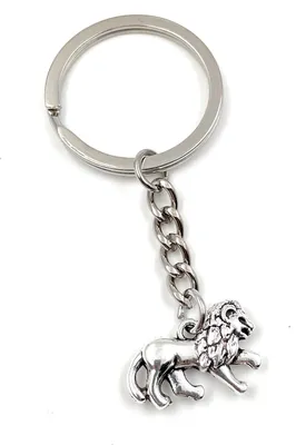 Produktbild von Onwomania Schlüsselanhänger - "Löwe Raubtier Wüste" - Metall Glücksbringer ideal als Geschenk z.B. für den besten Freund, die beste Freundin, Mama