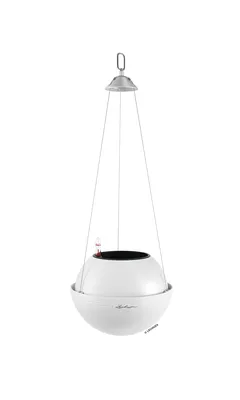 Zdjęcie produktu dla Doniczka Φ23Cm Z Systemem Nawadniającym Lechuza Bola Color23
