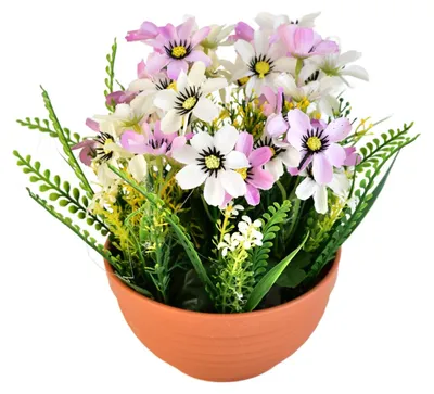 Image de Coupe à fleurs blanc et violet Ø 23/21 cm
