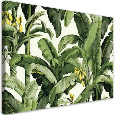 Produktbild von Leinwandbild Grüne Bananenblätter 100x70 Feeby Grün bild für die wand bereit zum aufhängen