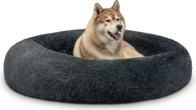 A husky dog is lying in a round, dark gray, plush dog bed.