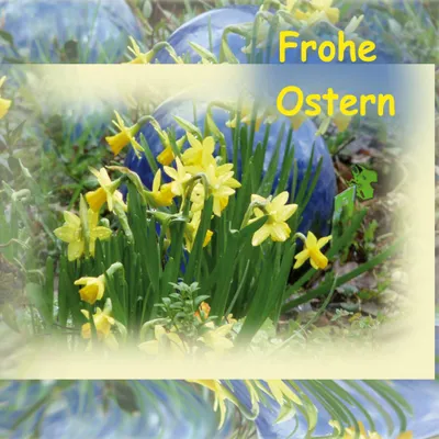 Produktbild von Frohe Ostern