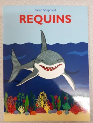 Image de Requins