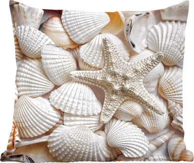 Produktbild von MuchoWow® Zierkissen Sofakissen Wohnzimmer Dekokissen 40x40 cm Muscheln - Seesterne - Strand - Foto Kissen - Schlafzimmer Dekoration