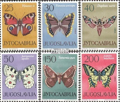 Produktbild von Briefmarken Jugoslawien 1964 Mi 1069-1074 (kompl.Ausg.) postfrisch Schmetterlinge