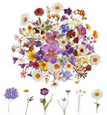 120 Blumenaufkleber, transparent, 60 Motive, 3–9 cm, für Scrapbooking & DIY
