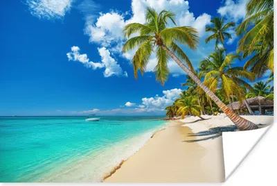 Produktbild von MuchoWow® Poster Strand - Meer - Boot - Palme 120x80 cm - Bilder