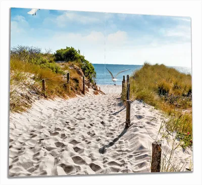 Produktbild von Wallario Herdabdeckplatte aus Glas, Größe 60 x 52 cm 2-teilig, Motiv Möwen auf dem Weg zum Strand
