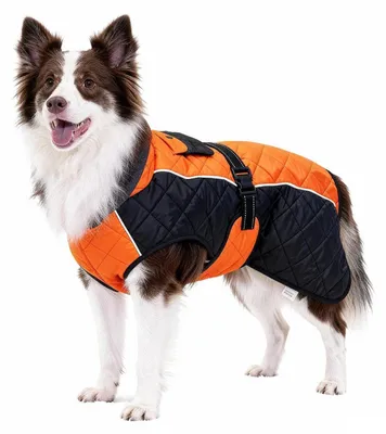 Immagine prodotto di Cappotto per cani, riflettente, antivento e idrorepellente, colore arancione/nero, taglia S