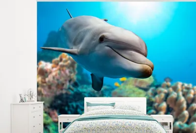 Produktbild von Seetapete - Fototapete Delfin - Meer - Koralle - Breite 300 cm x Höhe 240 cm