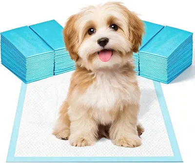 Imagen del producto de Almohadillas absorbentes para cachorros, de 33 x 45 cm, paquete de 100 unidades, para uso en interiores